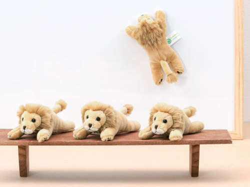 マグネット マスコット ライオン│動物 カロラータ オンラインショップ