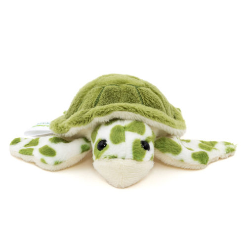 マグネット マスコット アオウミガメ│動物 カロラータ オンライン