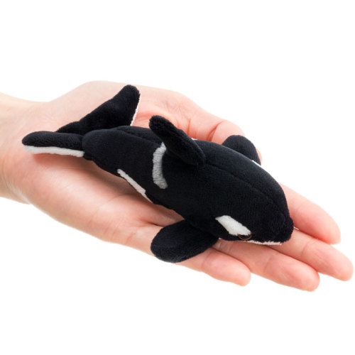 シャチのぬいぐるみ Amazon.co.jp: 2023 ジェリーキャット シャチ オルカ orca 鯱