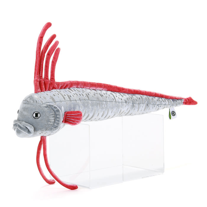 �ʂ������ �����E�O�E�m�c�J�C