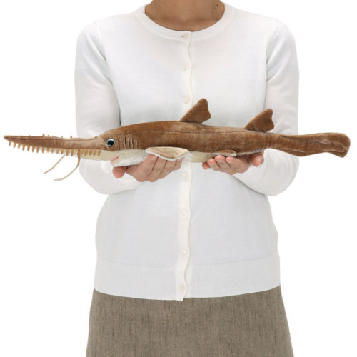 動物 生物 ぬいぐるみ ノコギリザメ / カロラータ オンラインショップ