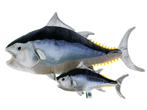 カロラータ クロマグロ ぬいぐるみ ( 長さ55 × 幅16 × 高さ22 / 検針2度済み ) 人形 おもちゃ 魚 マグロ リアル クリスマス 動物 生物 ぬいぐるみ クロマグロ 成魚 &frasl; カロラータ オンラインショップ