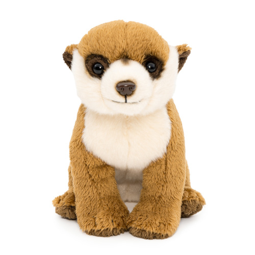 �ʂ������ �������V���[�Y �~�[�A�L���b�g