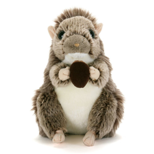 動物 生物 ぬいぐるみ やんばるの生物 ケナガネズミ / カロラータ