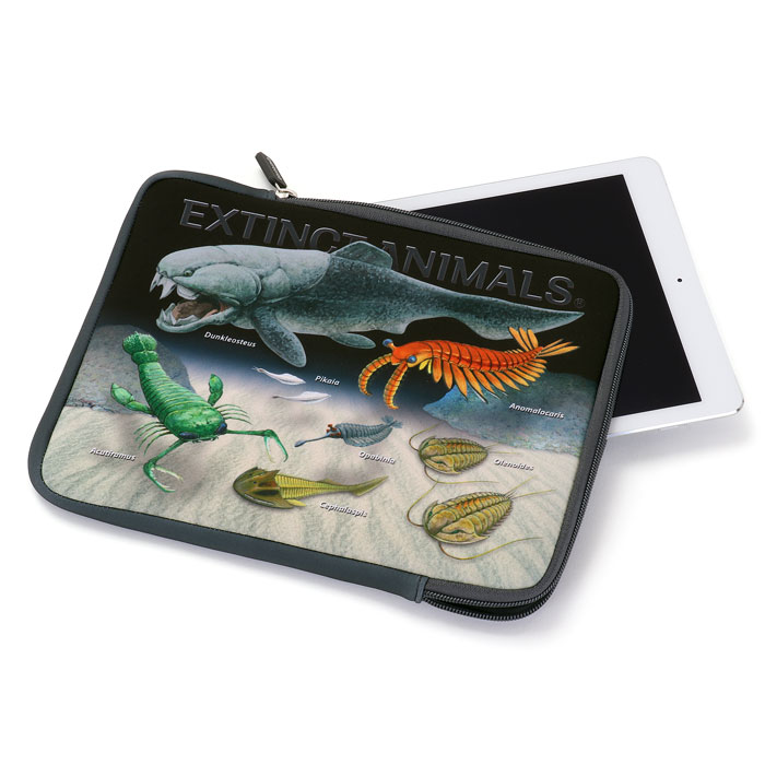 6'0 1-2本用 マルチケース CREATURES クリエーチャー ダブル 6'0 1-2本用 マルチケース CREATURES クリエーチャー ダブル 6'0 1-2